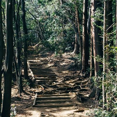 4096六角消除游戏下载